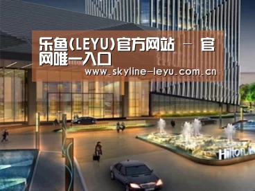 案例展示二