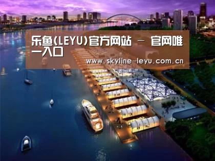 案例展示八