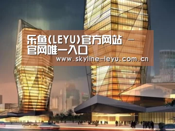 案例展示三