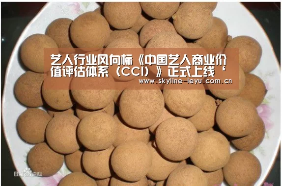乐鱼极致竞技体验