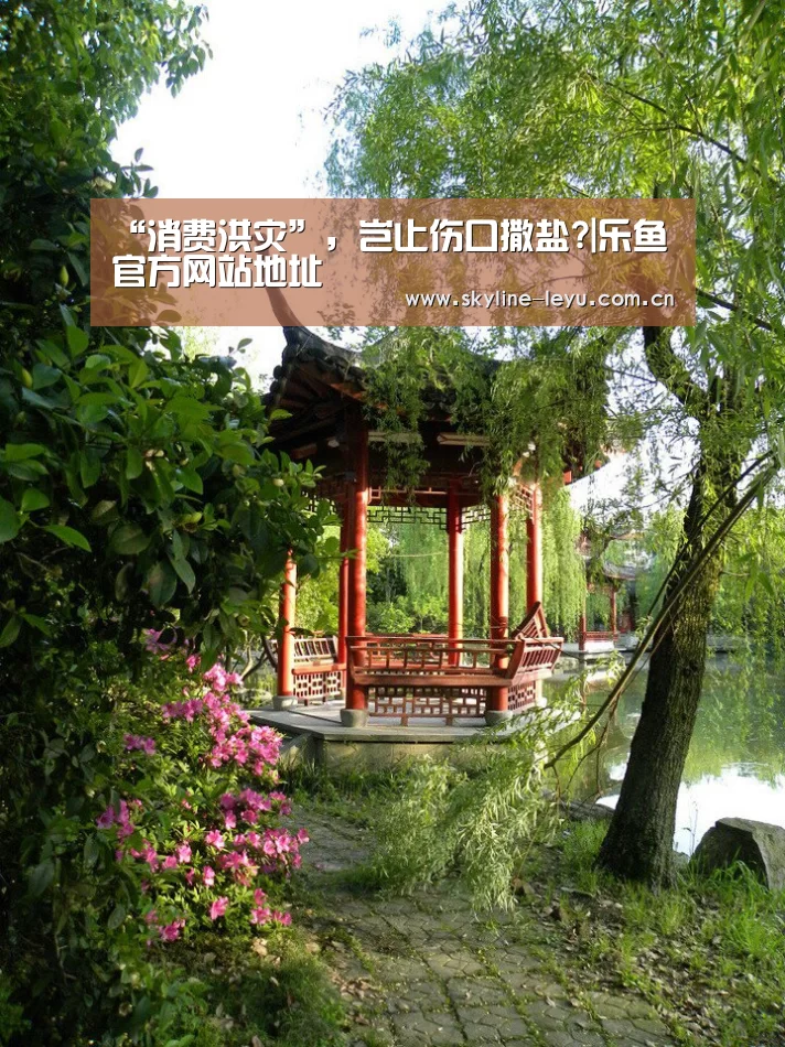 “消费洪灾”,岂止伤口撒盐?|乐鱼官方网站地址(图1) leyu中国官网