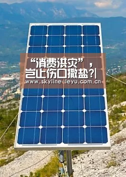 “消费洪灾”,岂止伤口撒盐?|乐鱼官方网站地址(图3) 乐鱼官方网站地址