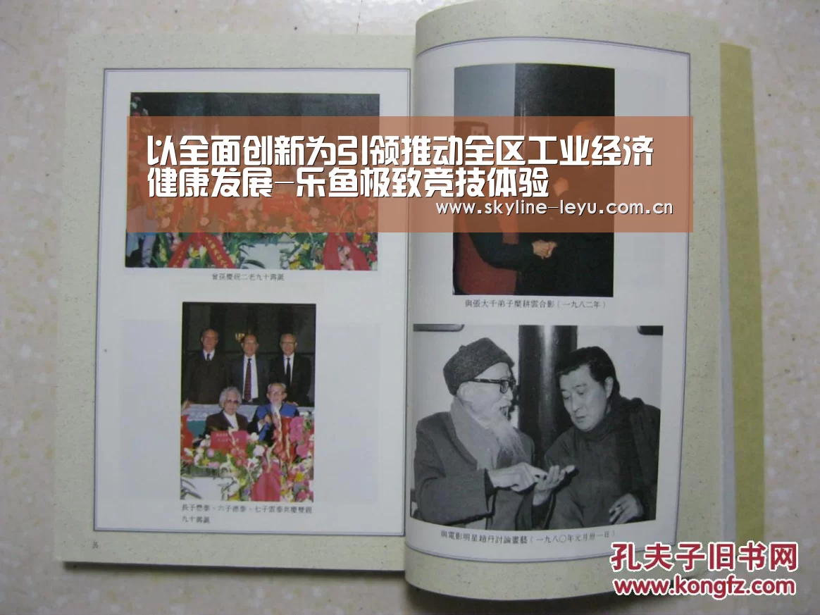 以全面创新为引领推动全区工业经济健康发展-乐鱼极致竞技体验(图2) leyu中国官网