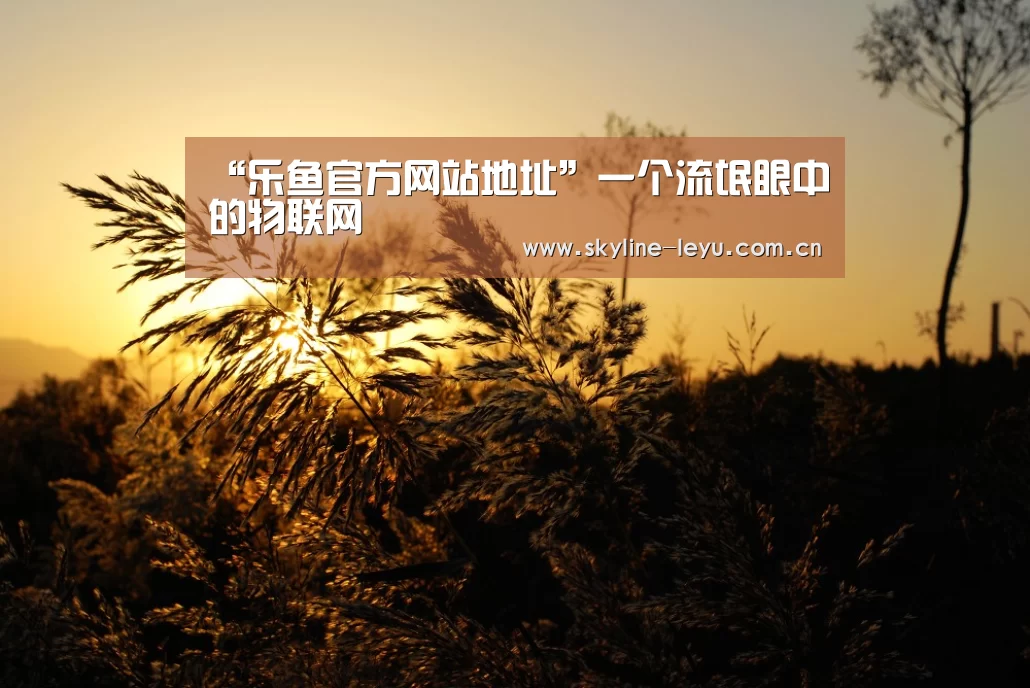 “乐鱼官方网站地址”一个流氓眼中的物联网(图2) 乐鱼平台最新版本