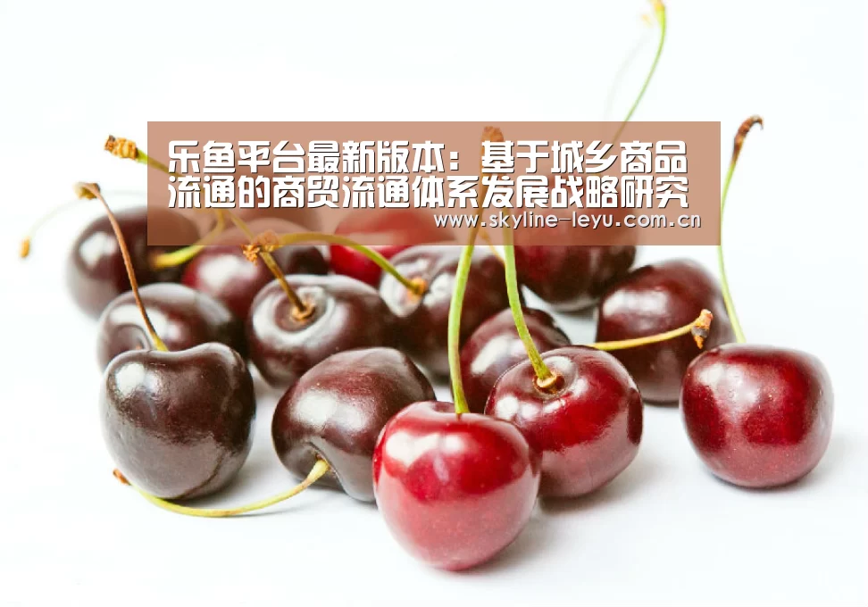 乐鱼平台最新版本:基于城乡商品流通的商贸流通体系发展战略研究(图2) 乐鱼极致竞技体验