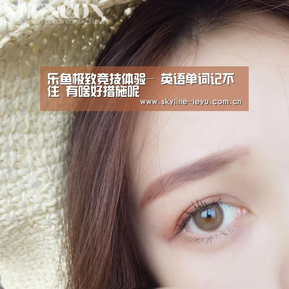 乐鱼平台最新版本
