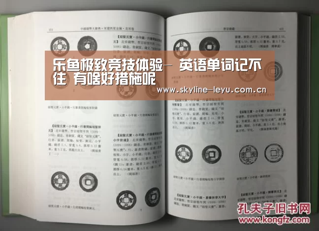 乐鱼平台最新版本