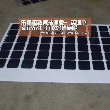 乐鱼极致竞技体验