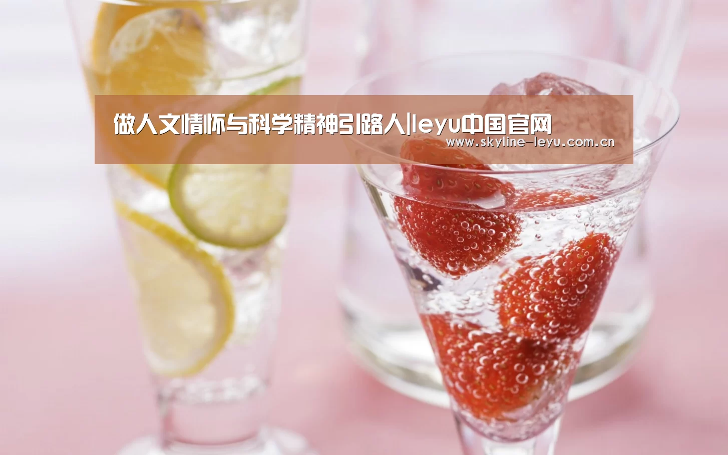 leyu中国官网