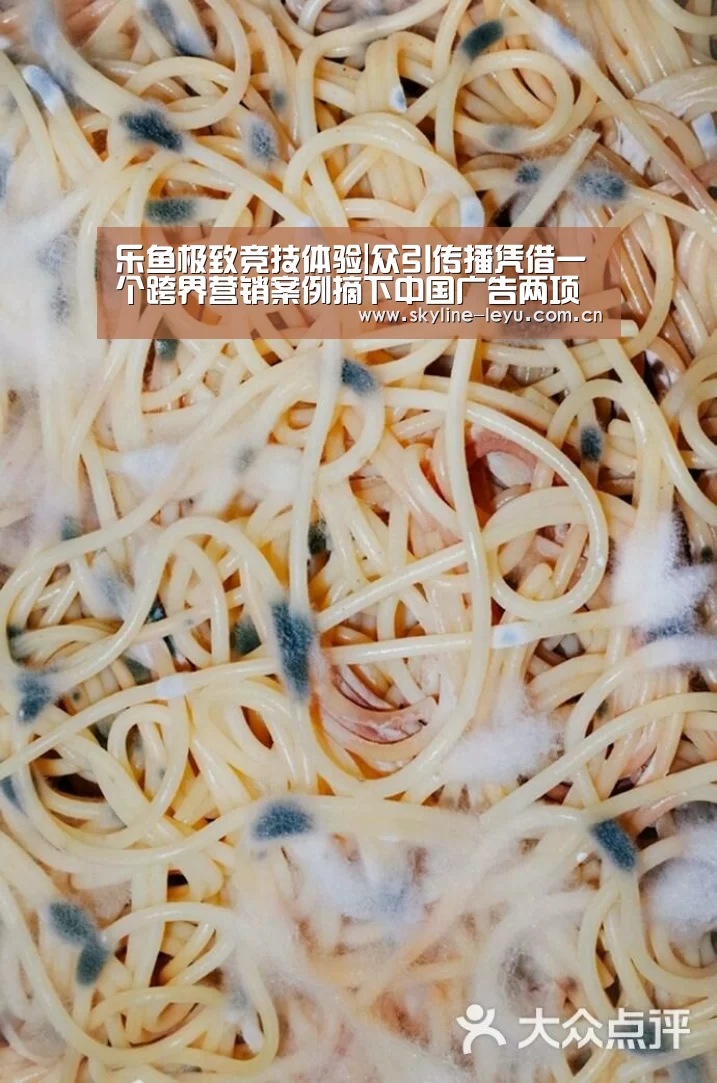 乐鱼极致竞技体验|众引传播凭借一个跨界营销案例摘下中国广告两项年度大奖!(图1) leyu中国官网
