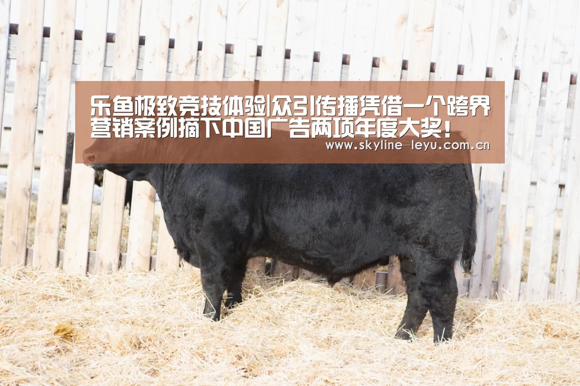 乐鱼极致竞技体验|众引传播凭借一个跨界营销案例摘下中国广告两项年度大奖!(图3) 乐鱼官方网站地址