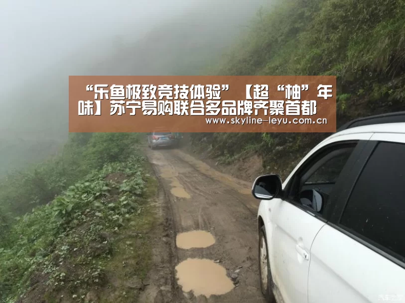 “乐鱼极致竞技体验”【超“柚”年味】苏宁易购联合多品牌齐聚首都机场库媒贺岁档(图2) 乐鱼官方网站地址