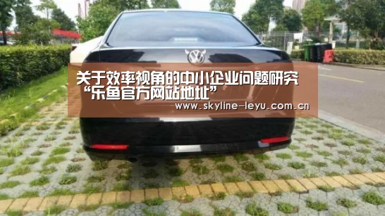 关于效率视角的中小企业问题研究“乐鱼官方网站地址”(图1) 乐鱼官方网站地址