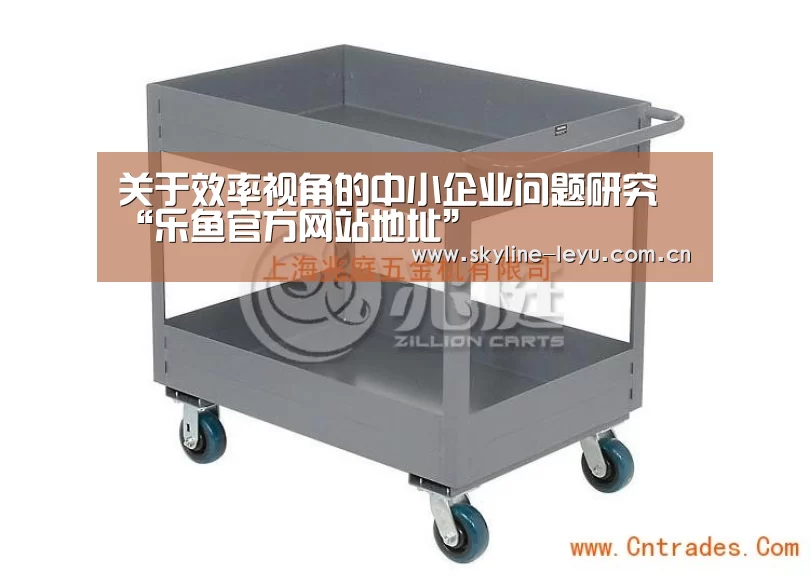关于效率视角的中小企业问题研究“乐鱼官方网站地址”(图3) 乐鱼极致竞技体验