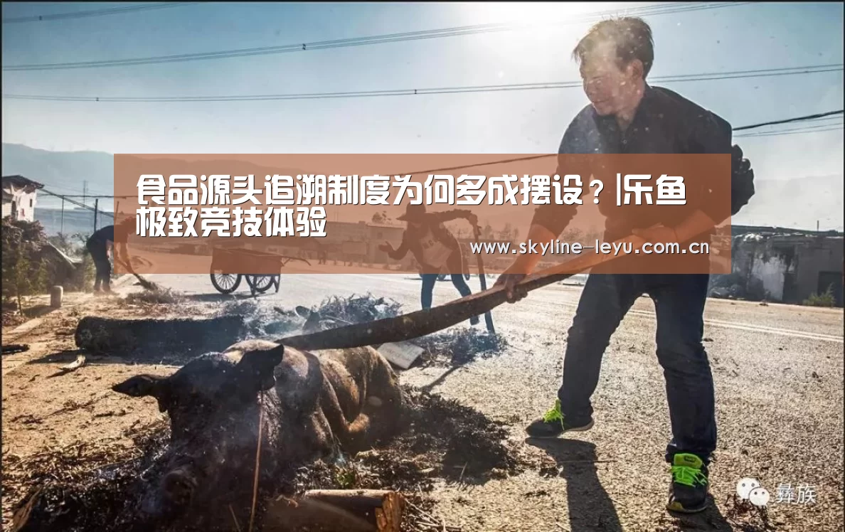 食品源头追溯制度为何多成摆设?|乐鱼极致竞技体验(图4) 乐鱼平台最新版本