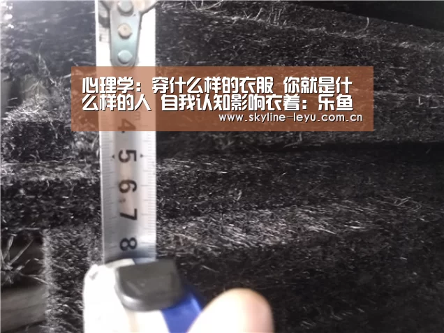 心理学:穿什么样的衣服 你就是什么样的人 自我认知影响衣着:乐鱼极致竞技体验(图4) 乐鱼极致竞技体验