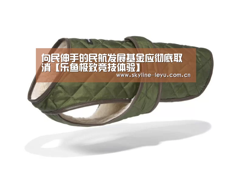 向民伸手的民航发展基金应彻底取消【乐鱼极致竞技体验】(图2) 乐鱼平台最新版本
